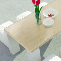 Tischfolie Neo | Tischmatte | Tischauflage | Transparent & Halbtransparent | Schutzmatte für Tisch | Unterlegmatte zum Basteln in vielen verschiedenen Größen (90 x 150 cm, 100% Transparent (Neo Plus))