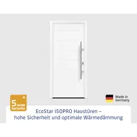 EcoStar Haustür ISOPRO IP 015 verkehrsweiß 110 x 210 cm