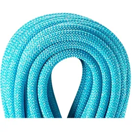 Edelrid Boa 9.8 Mm Rope Blau 40 m