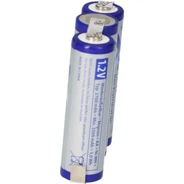 Akkuman 3er Reihe Lotfahne AA 2700 mAh 3 St.