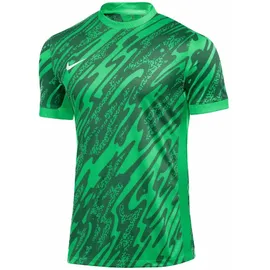 Nike Gardien V Dri-Fit Herren T-Shirt, grün - US: M