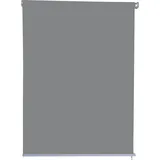 Jet-Line Sichtschutzrollo 100 x 230 cm Hellgrau Polyester