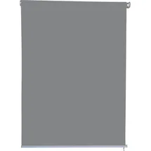 Jet-Line Sichtschutzrollo 100 x 230 cm Hellgrau Polyester