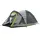Coleman Darwin 3 Plus grau/grün