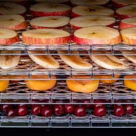 Maltec Dörautomat mit Timer Dörrgerät 450W Lufttrockner mit 5 Ebene für Lebensmittel Pilzen/Fleisch/Fisch/Früchte/Obs/Herbst/Kraüter