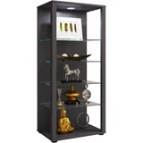 VCM Holz Glas Stand Vitrine Sammelvitrine Glasol lll