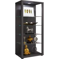 VCM Holz Glas Stand Vitrine Sammelvitrine Glasol lll