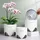 Meshpot Orchideentöpfe mit Löchern zum Umtopfen mit ausgezeichneter Luftzirkulation, 2 Stück, doppellagiger Kunststoff, Keramik-Orchideen-Pflanzgefäß, transparenter Orchideentopf, dekorativer