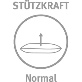 Paradies KopfKissen Softy Tip 40 x 60 cm Weiß