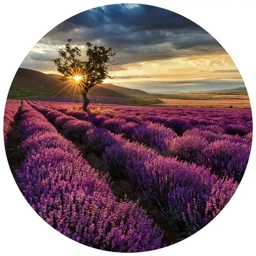 K&L Wall Art Vliestapete »Runde Vliestapete«, Lavendel Acker lila Landschaft, mehrfarbig, matt - bunt