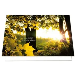 LUMA KARTENEDITION Trauerkarte »In stiller Anteilnahme Wald«, 17.5x11.5 cm