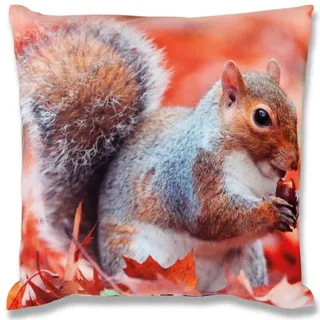 BestLivings 2er Pack Eichhörnchen) 40 x 40 cm