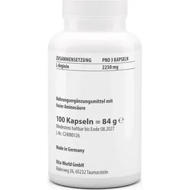 Vita World GmbH L-Arginin Kapseln 100 St.