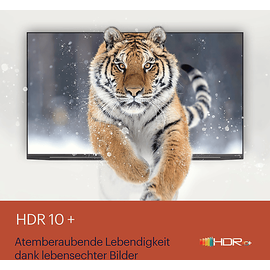 Grundig Android 4K UHD Smart-TV 55 VCE 223 – Energieeffizienzklasse F