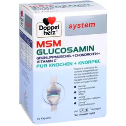 Doppelherz MSM Glucosamin system