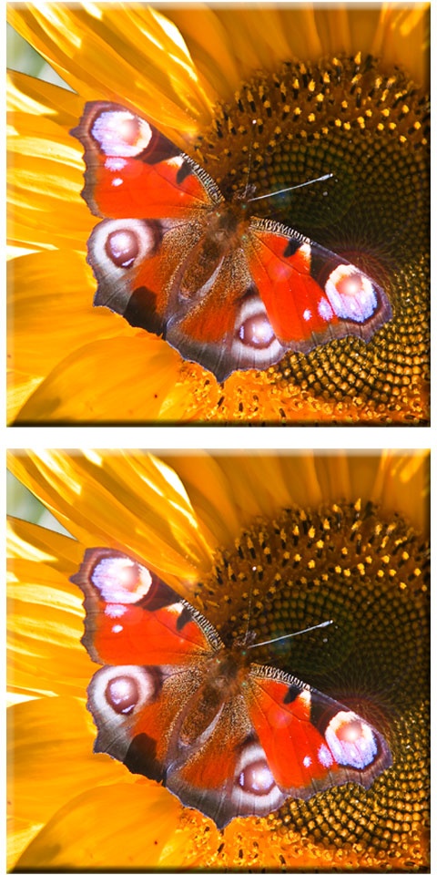Wandbild Schmetterlingsbild LED Bild Wanddekoration Dekolampe, 4 Flammig warmweiß LED, Schmetterlingsmotiv Schalter, HxLxT 30x30x1,8cm, 2er Set