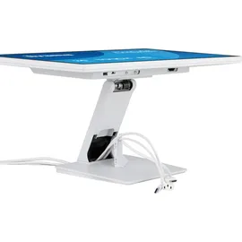 Iiyama Prolite T2452MSC-W2AG 24"
