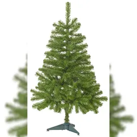 Tarrington House Weihnachtsbaum mit Ständer, 120 cm