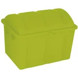 Curver Aufbewahrungsbox Piraten 75 Jahre-Edition 1-tlg. hellgrün