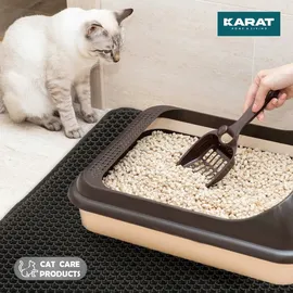 Floordirekt Katzenstreumatte Charly Doppelschichtiges Wabendesign Abwaschbar 61 x 38 cm Anthrazit