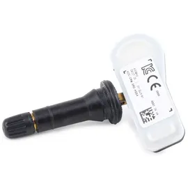SCHRADER Radsensor 3002