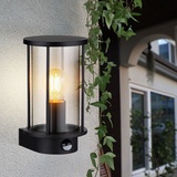 GLOBO Wandleuchte Außenlampe Fassadenleuchte Bewegungsmelder Glas Rauch Edelstahl Gartenleuchte, 1x E27, HxB in cm: 25,2x14,3