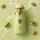 Volare Bon Bon Pistachio Eau de Parfum 100 ml