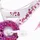 F.lli Schiano Pink Love 12 Zoll RH 30 cm weiß