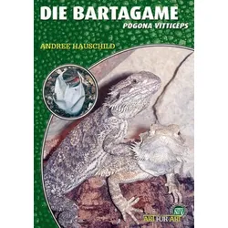 Die Bartagame