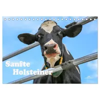 Calvendo Sanfte Holsteiner (Tischkalender 2026 DIN A5 quer), CALVENDO