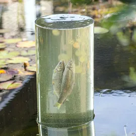 Hi Haushalt International Fischsäule 65cm 35613