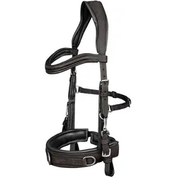 Waldhausen Lederkappzaum Anatomic