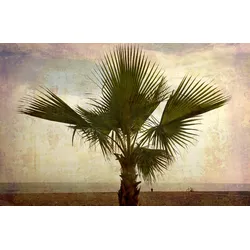 Fototapete PAPERMOON "PALMEN-NATUR LANDSCHAFT STRAND MEER PALME BÄUME BAUM", bunt, B:3,50m L:2,60m, Vlies, Tapeten