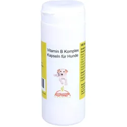 Vitamin B Komplex für Hunde