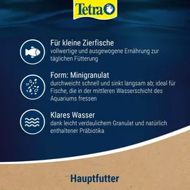Tetra TetraMin Mini Granules langsam absinkendes Fischfuter für kleine Zierfische wie z.B. Salmler und Barben, 100 ml
