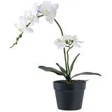 VCM Orkidé Kunstbaum Höhe 49cm Grün, Weiß.