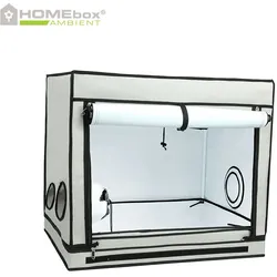 Homebox Ambient R80S, 80x60x70cm