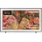 GQ50LS03D 50" QLED 4K LS03D (2024)