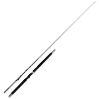 WFT Prion Inline 7' 2,10m 300-900g