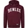 BENLEE Rocky Marciano Benlee Herren Kapuzensweatshirt Normale Passform Ayden