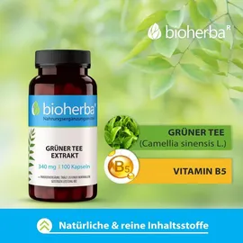 Bioherba Grüner Tee Extrakt 340 mg Kapseln 100 St.