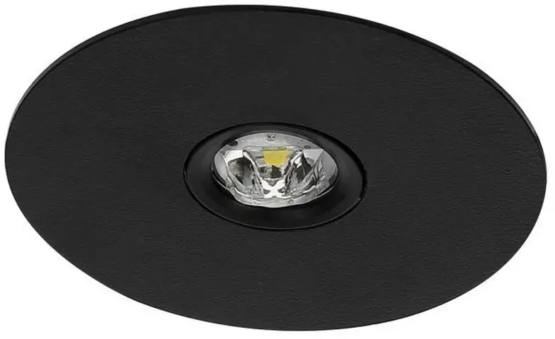 Fischer Sicherheitsleuchte BREE25-B