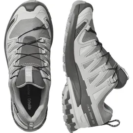 Salomon XA Pro 3D V9 GTX Damen Silber 38