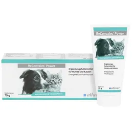 Alfavet ReConvales Power 70g
