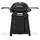 Weber Q 2200N mit Rollwagen black