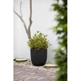 Capi Europe Capi Übertopf Kugel Groove NL elegant Schwarz 35 x 34 cm