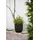 Capi Europe Capi Übertopf Kugel Groove NL elegant Schwarz 35 x 34 cm