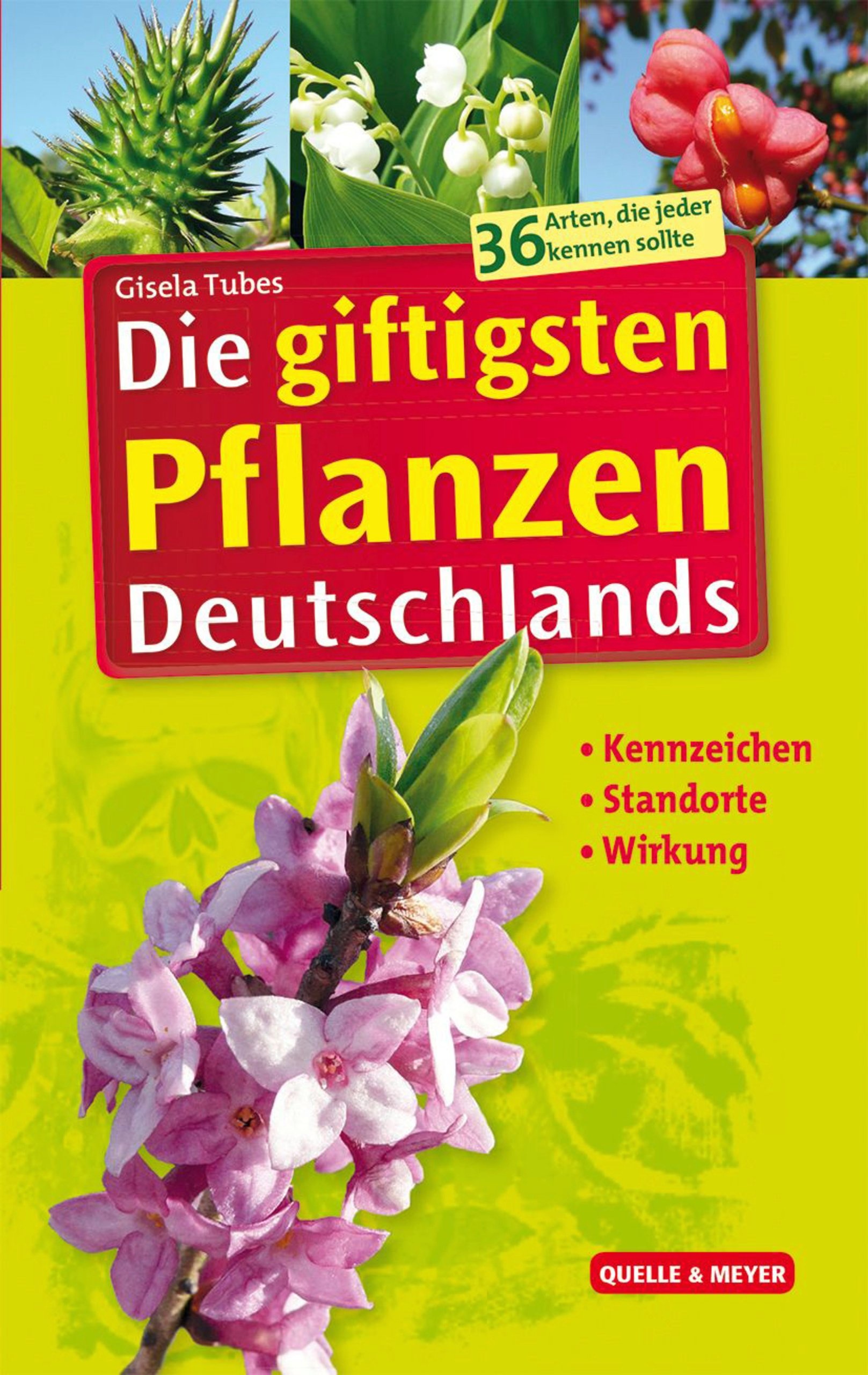 Die giftigsten Pflanzen Deutschlands - Kennzeichen - Standorte - Wirkung