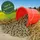 lyra horse 5 kg Lyra Horse® Apfel Leckerli in 30 L Tonne