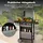 Royal Gourmet 2-Brenner Gasgrill grau